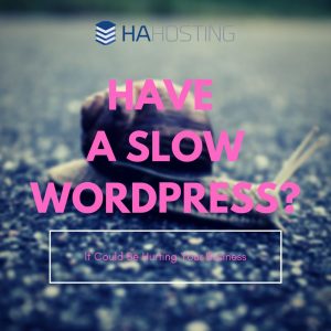 Slow WordPress Hindering You? Thumbnail